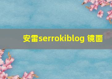 安雷serrokiblog 镜面